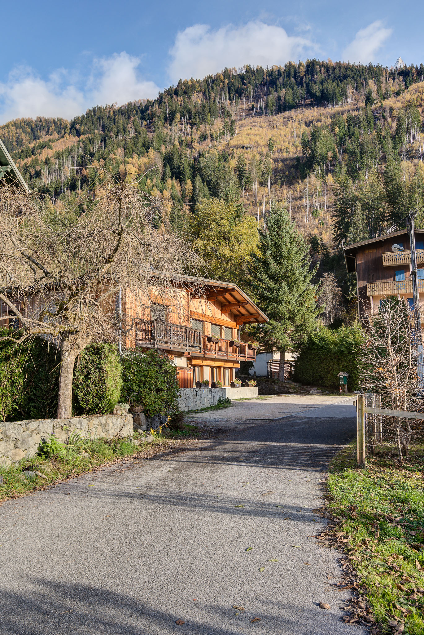 Biolay-2-Alpes-Travel-Chamonix-05